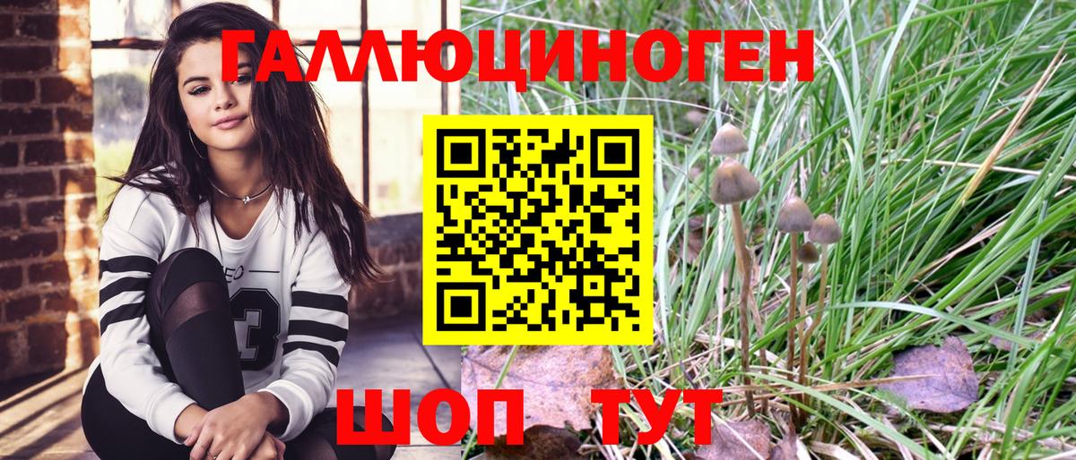 Галлюциногенные грибы мухоморы  Вход с VPN  Вязники 
